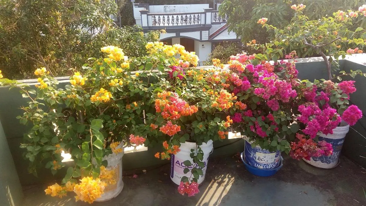 Heavenly Homestay Kochi India