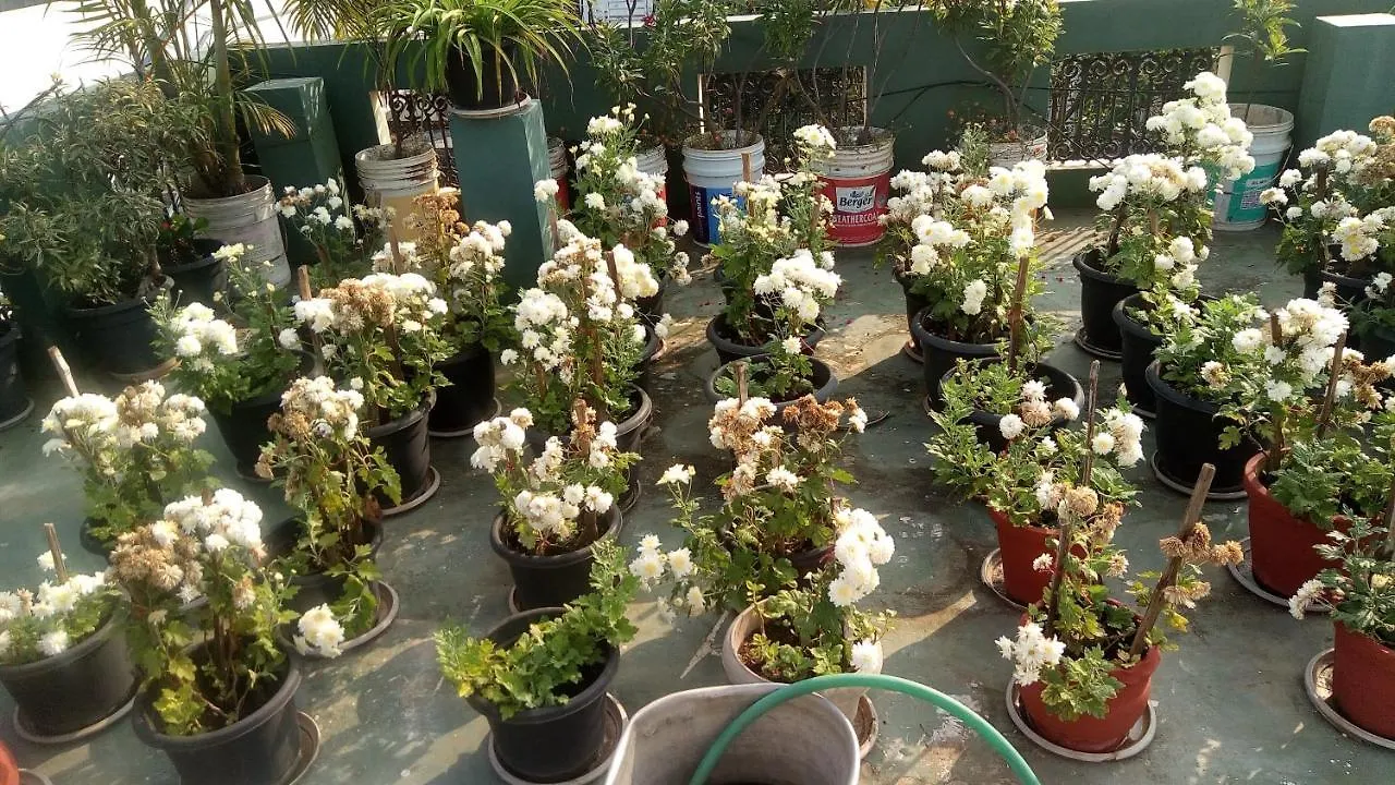 Heavenly Homestay Kochi 0*,  India